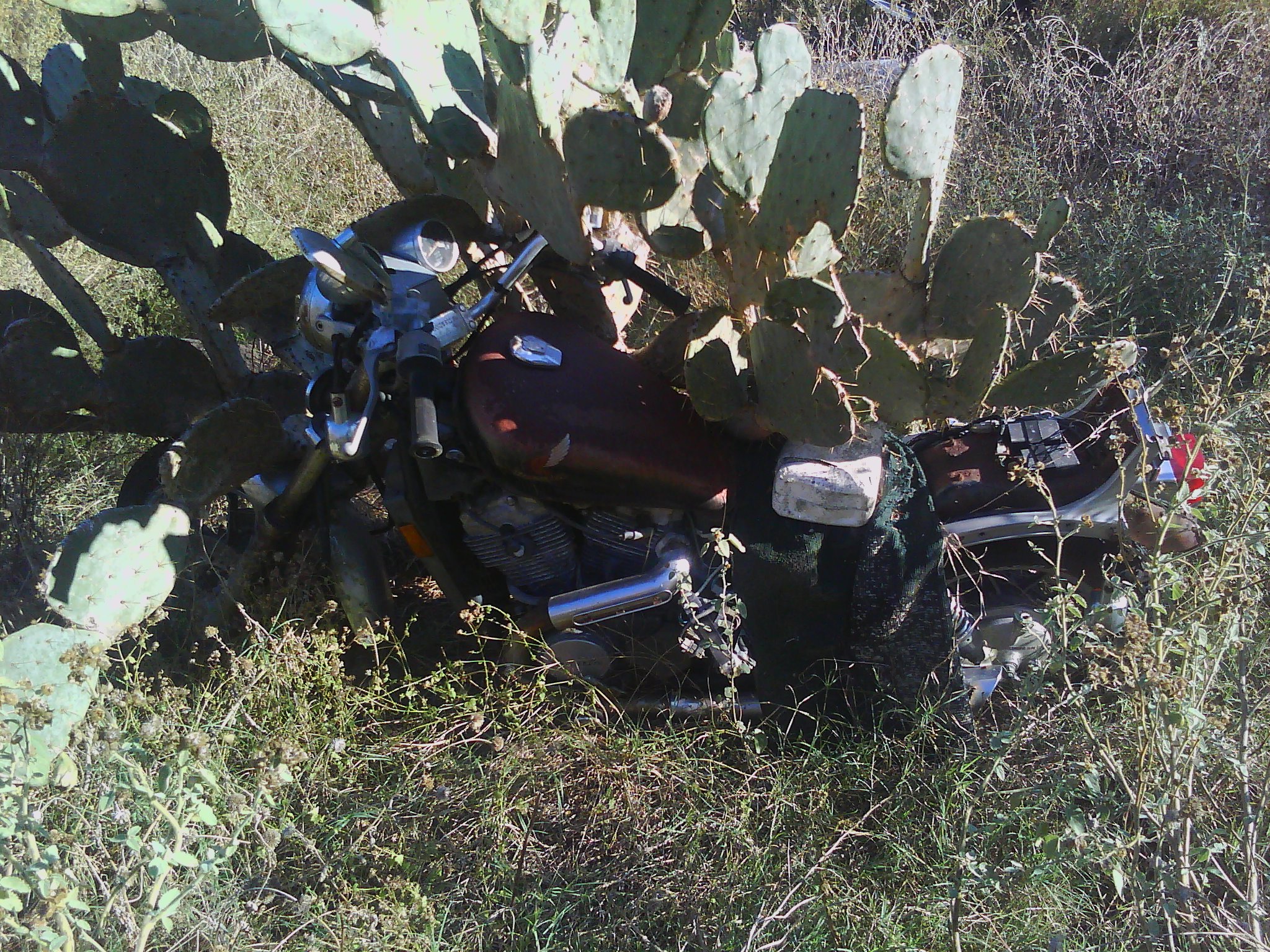 2010-12-26_15.16.44.jpg