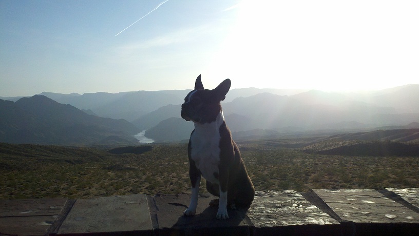2011-04-15_18-11-29_774.jpg