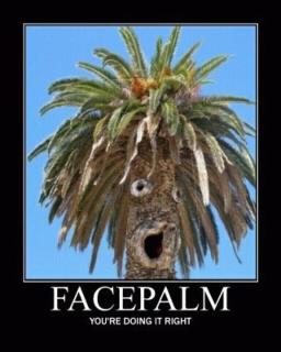facepalm.jpg