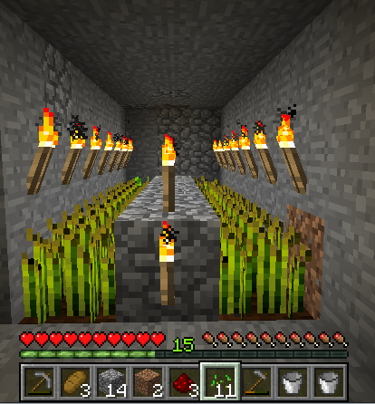 farm room.png