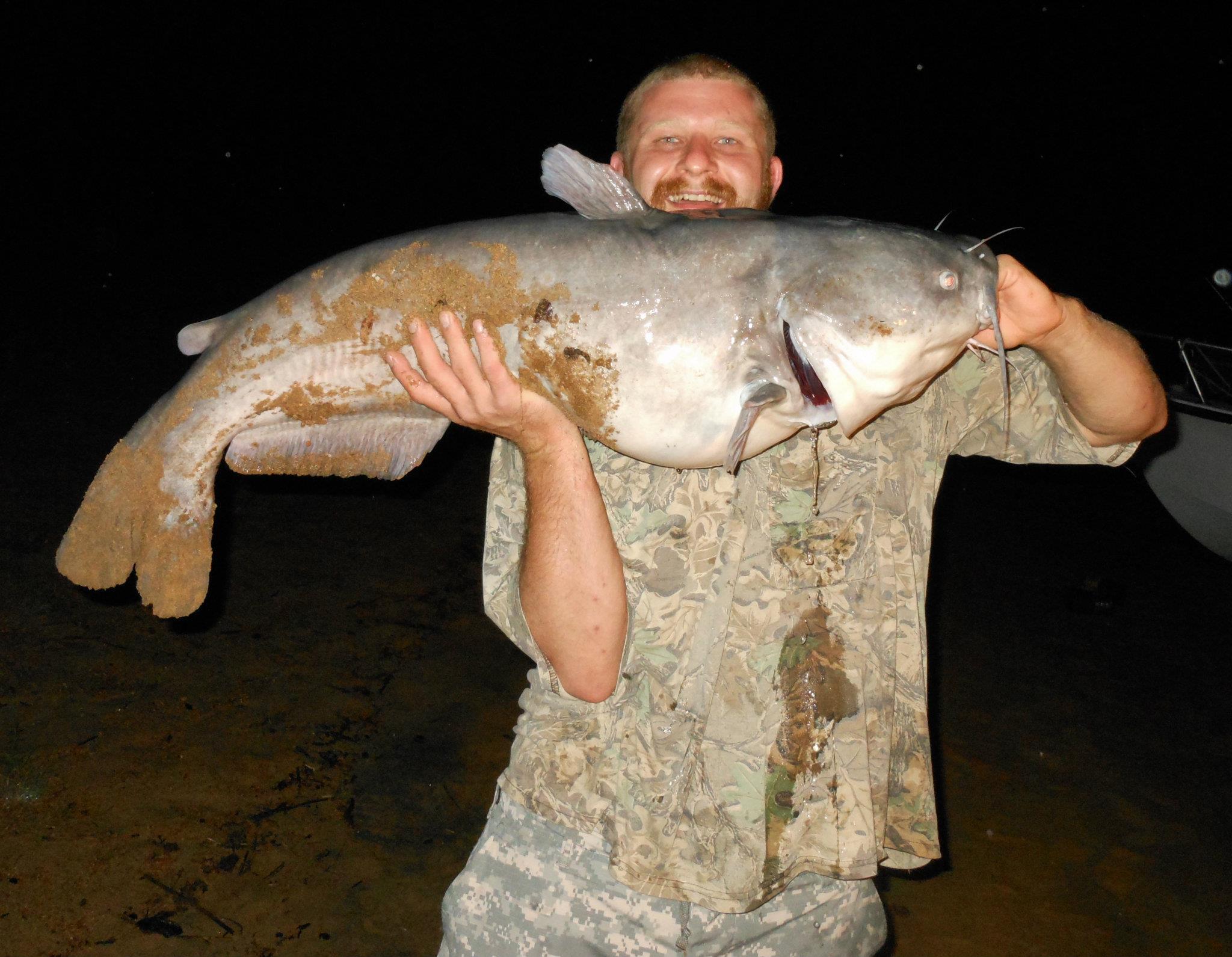 big cat 2012 2.jpg