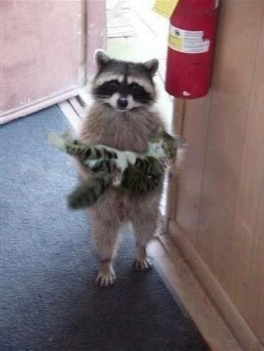 Brought you a gift.jpg