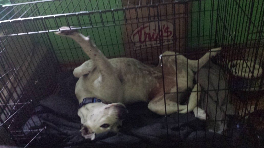 oli bein weird.jpg