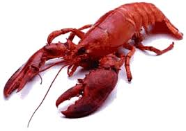 lobstah.png