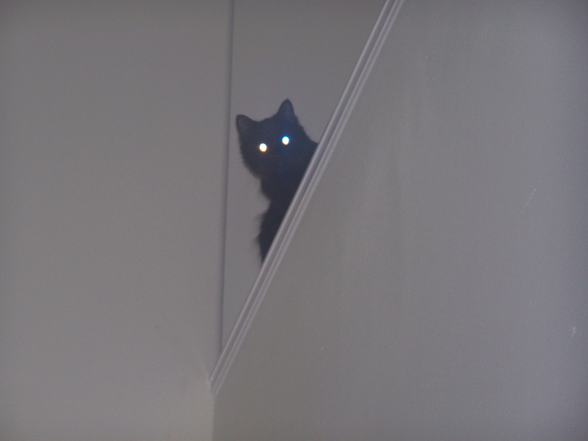 Shadow 004.jpg
