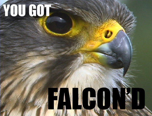 FALCODEVIL SPRAY.jpg