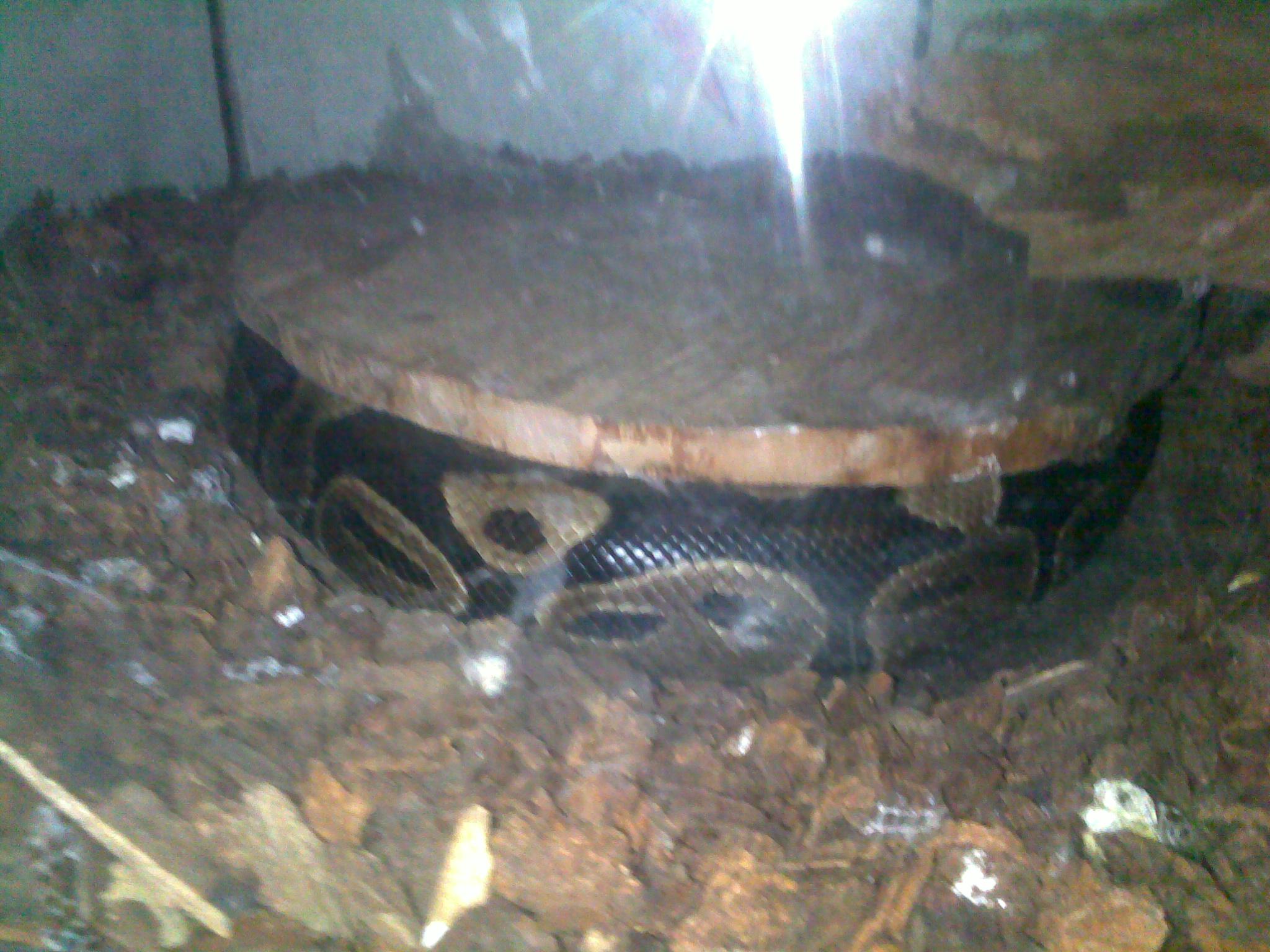06182010066.jpg
