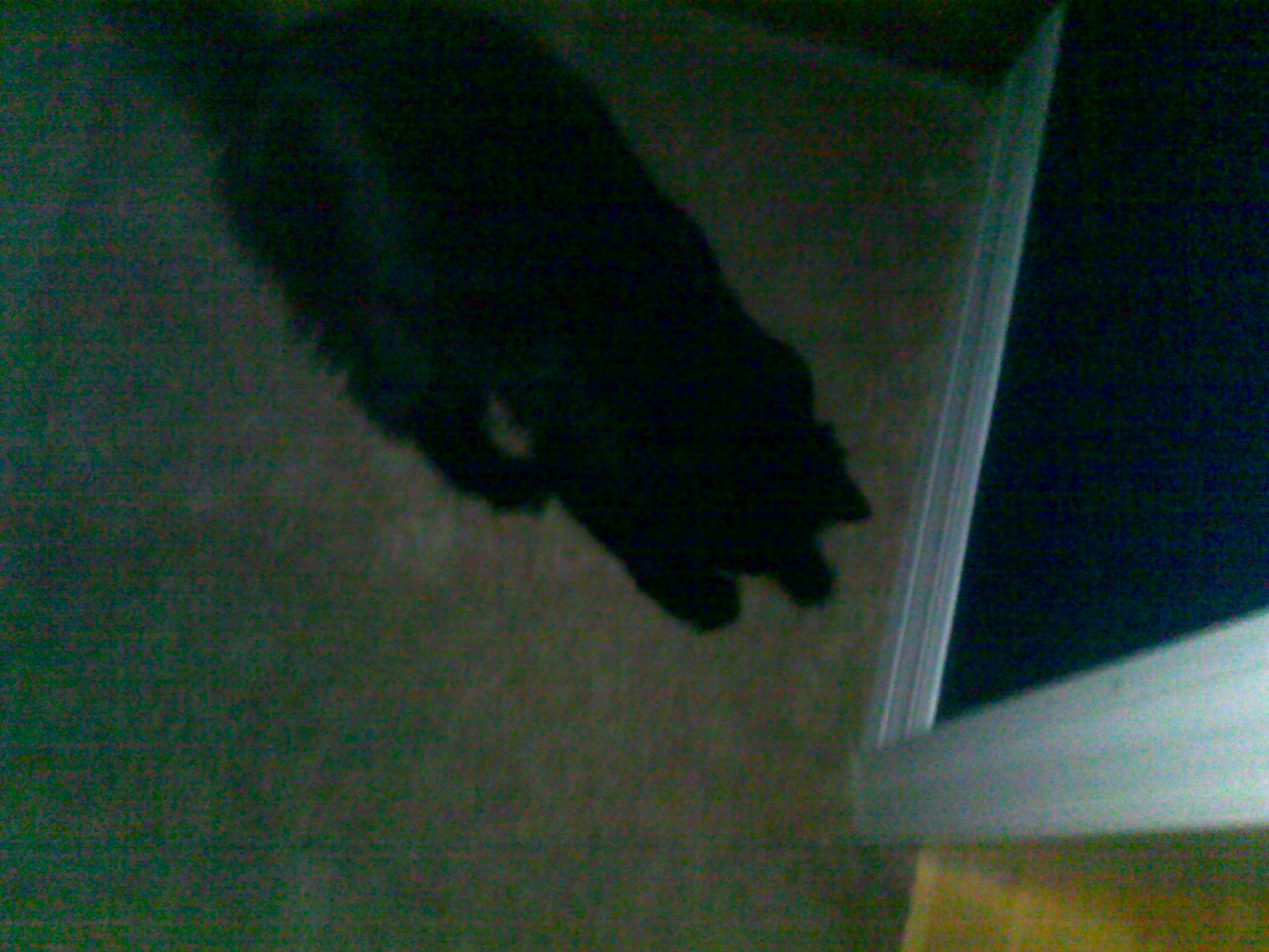06182010068.jpg