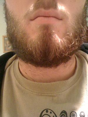 Beard2.jpg